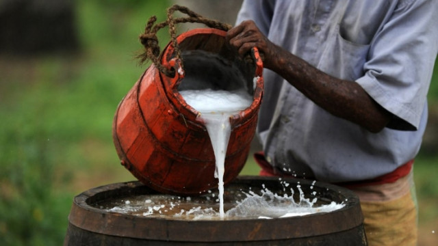 How Palm Wine Was Discovered in Ghana